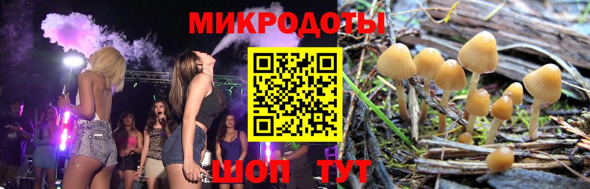 Псилоцибиновые грибы Psilocybine cubensis Рыбинск