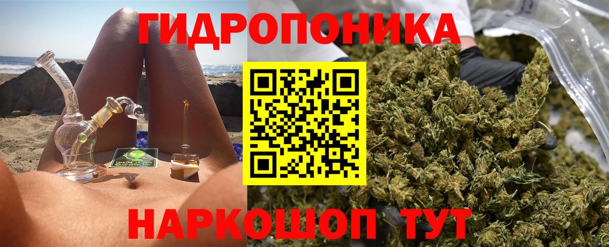 МАРИХУАНА ГИДРОПОН  Вход с VPN  Рыбинск  Канабис сатива 